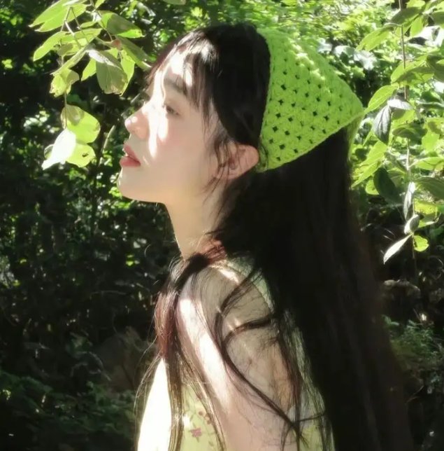 酸甜家族
